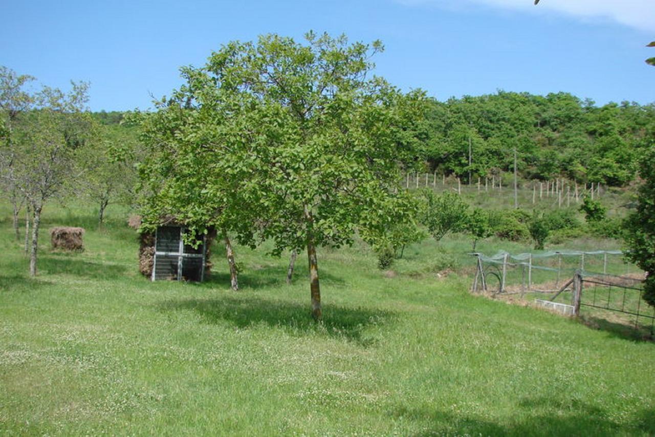 Casa Vacanza Le Corniole Civitella in Val di Chiana Exterior foto